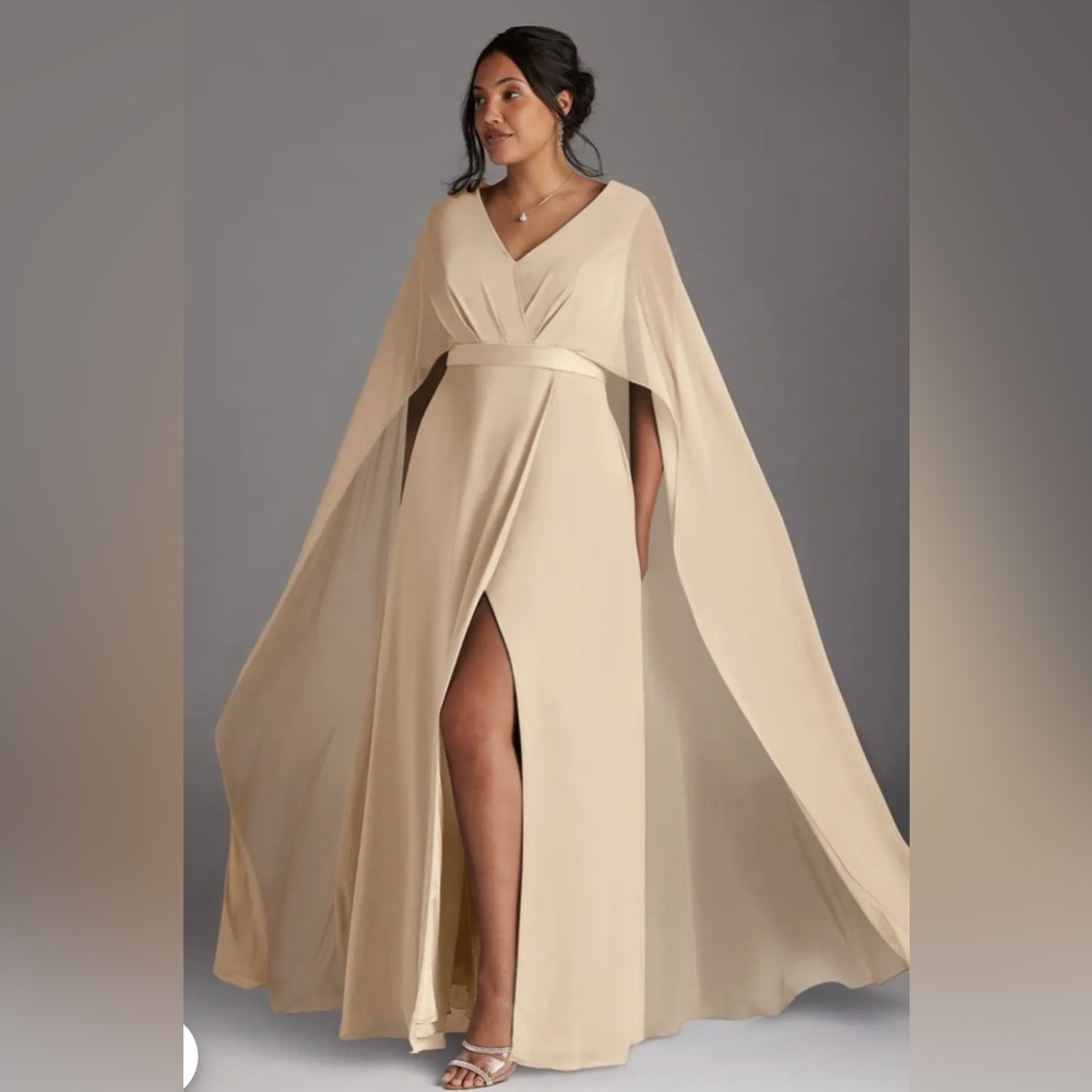 Elegant Champagne A-Line V-Neck Pleated Chiffon Dress Sz 18W